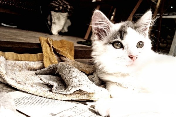 Фотовиставка Валентини Жуги